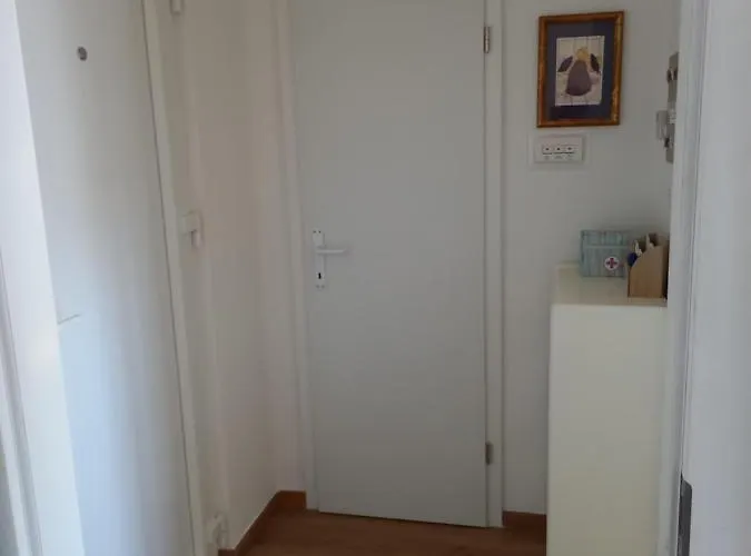 Oasis * Ζαντάρ