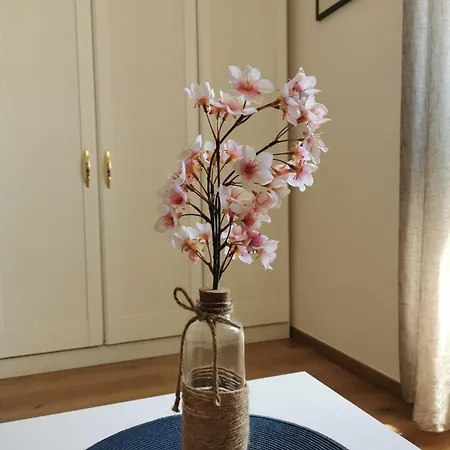 Apartamento Oasis